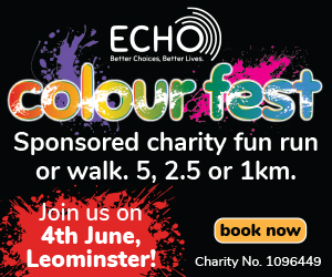 Echo 300x250 ad